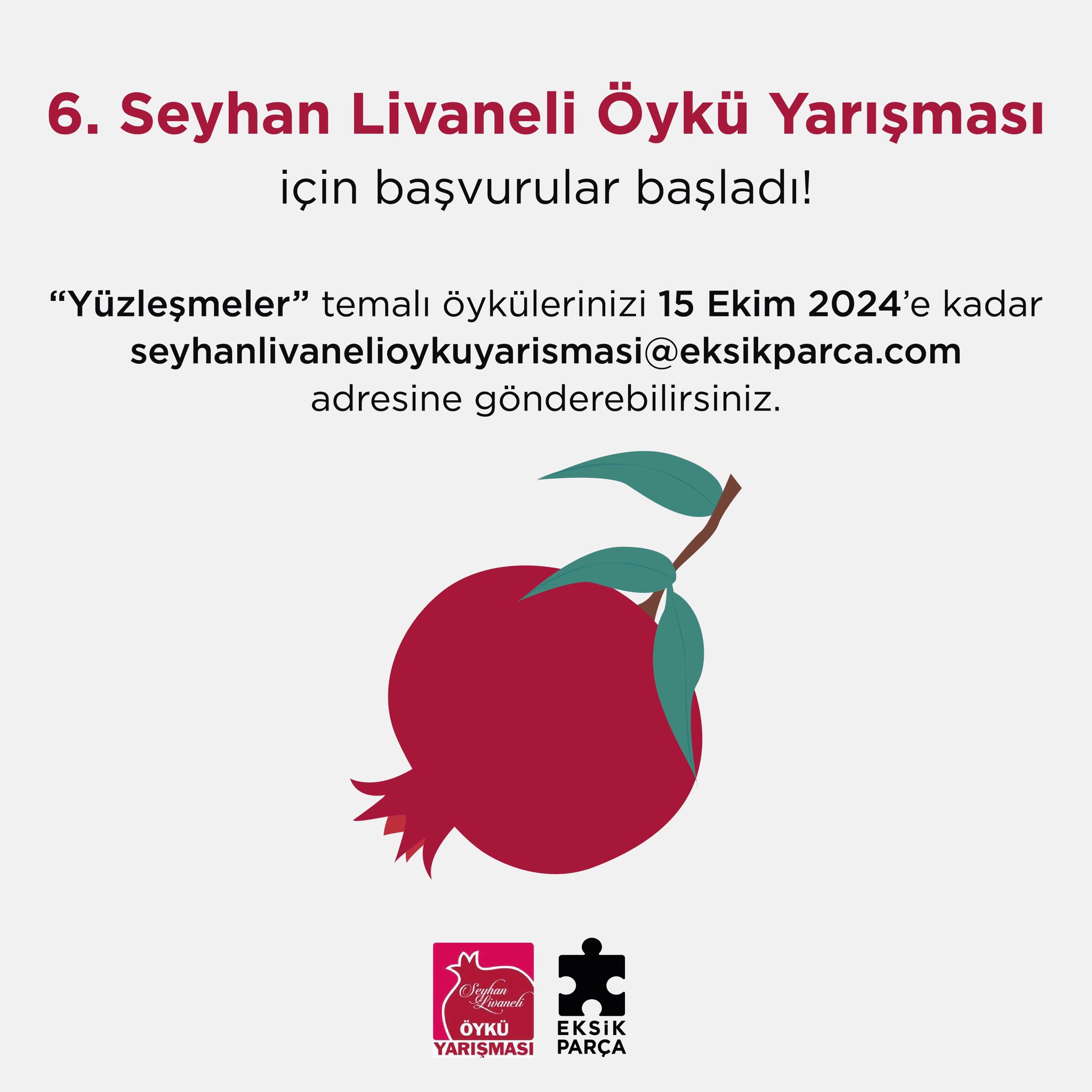 2025 Seyhan Livaneli Öykü Yarışması